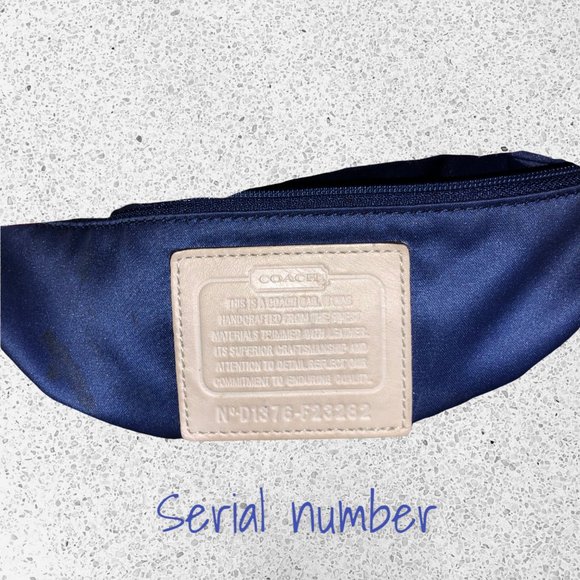 Coach Park Signature Hand Drawn Scarf Hobo with Matching Wallet - Picture 5 of 9